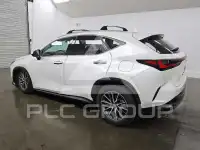 2025 Lexus NX photo