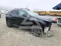 2025 Lexus NX photo