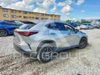 2025 Lexus NX фото
