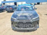 2025 Lexus NX фото