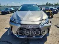 2025 Lexus NX фото