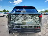 2025 Lexus NX photo