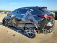 2025 Lexus NX фото