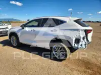 2025 Lexus NX photo