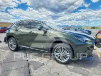 2025 Lexus NX photo
