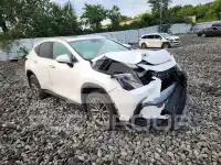 2025 Lexus NX фото