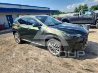 2025 Lexus NX фото