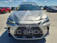 2025 Lexus NX фото