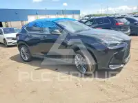 2025 Lexus NX фото
