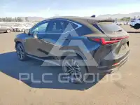 2025 Lexus NX photo