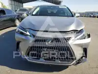 2025 Lexus NX фото
