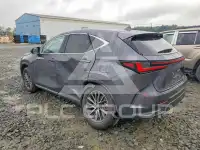 2025 Lexus NX фото