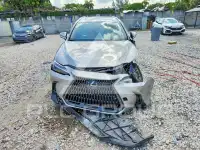 2025 Lexus NX фото