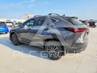 2025 Lexus NX фото