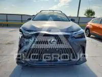 2025 Lexus NX фото