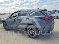 2025 Lexus NX250 photo