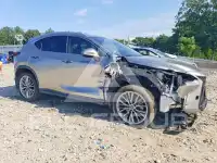 2025 Lexus NX photo