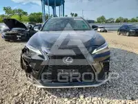 2025 Lexus NX photo