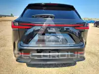2025 Lexus NX фото