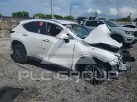 2025 Lexus NX250 фото