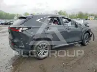 2025 Lexus NX250 photo