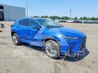 2025 Lexus NX фото