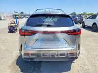 2025 Lexus NX фото