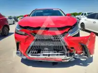 2025 Lexus NX250 фото