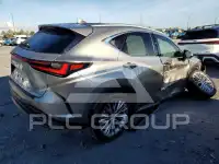 2025 Lexus NX фото