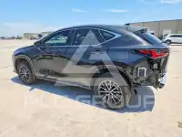 2025 Lexus NX фото
