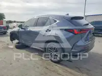 2025 Lexus NX photo