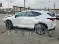 2025 Lexus NX photo