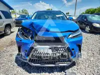 2025 Lexus NX250 photo