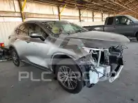 2025 Lexus NX photo