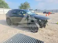 2025 Lexus NX фото