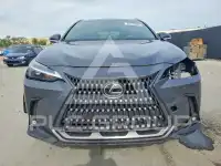 2025 Lexus NX photo