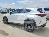 2025 Lexus NX фото