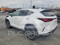 2025 Lexus NX фото