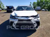 2025 Lexus NX фото
