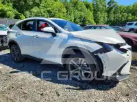2025 Lexus NX фото