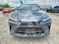 2025 Lexus NX фото