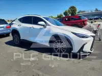 2025 Lexus NX фото