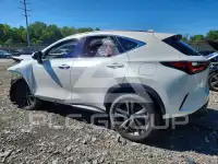 2025 Lexus NX фото