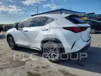 2025 Lexus NX фото
