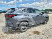 2025 Lexus NX фото