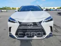 2025 Lexus NX фото