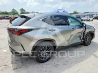 2025 Lexus NX фото