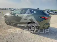 2025 Lexus NX фото