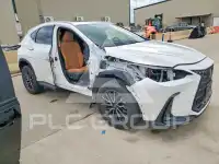 2025 Lexus NX photo