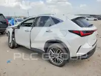 2025 Lexus NX фото